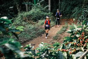 BIB: 
                            <button type="button" onclick="openModal(25857878)" class="btn btn-primary btn-sm float-right btn-popup" data-toggle="modal" data-target=".modal-high-quality">
                        <i class="fas fa-shopping-cart"></i> Add to Cart
                    </button>
                                            <button type="button" onclick="isThisMe(25857878, true)" class="btn btn-success btn-sm float-right btn-popup btn-isme hidden" data-toggle="tooltip" data-placement="bottom" title="นี่คือรูปของคุณใช่ไหม คลิกที่นี่เพื่อเอาเข้าอัลบั้ม">
                        <i class="fas fa-plus"></i> Add to album
                    </button>
                    <button type="button" onclick="isThisMe(25857878, false)" class="btn btn-warning btn-sm float-right btn-popup btn-isnotme hidden">
                        <i class="fas fa-ban"></i> Remove from album
                    </button>